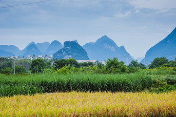 骄阳对什么作用（骄阳是褒义词还是贬义词）